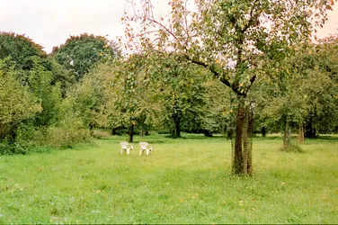 90-cs.jpg