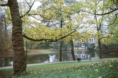 177-000553100029.jpg
