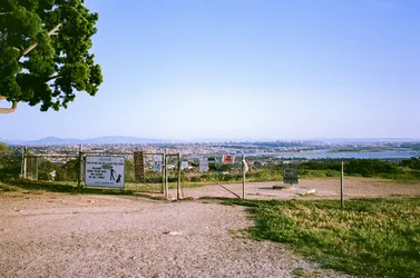 28-000098600024.jpg