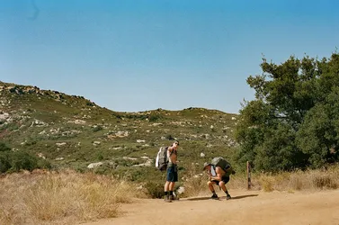 96-000585250024.jpg