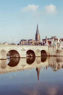 487-000239270016.jpg