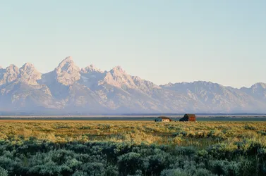 58-33580008.jpg